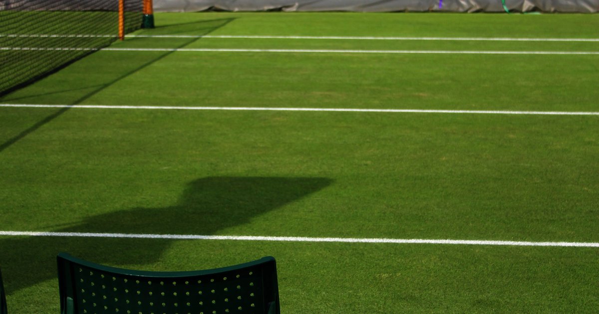 Tenis Wimbledon: historia, zasady i najlepsze momenty turnieju